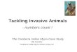 Tackling Invasive Animals - Bill Handke