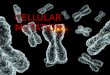 Cellular Mutation