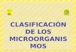 2 clasificación micro
