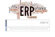 ERP II - Sistemas Integrados de Gestão Empresarial (SIGE ou SIG)