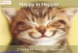 Happy In Hepper – Keeping Your Cat Happy