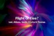 Flight or flee artifact 10.29.12