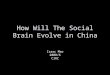 How The Social Brain Evolves In China