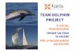 TEAM DOLPHIN PROJECT