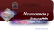 Neurociencias y Educación Clase 4
