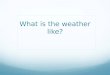 What's the weather vocab