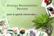 Biology remediation review