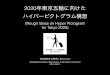 2020年東京五輪に向けたハイパーピクトグラム構想 (Rough Ideas on Hyper Pictogram for Tokyo 2020)