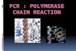 PCR Polymerase Chain Reaction by Laura Mejia