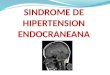 Sindrome de hipertension endocraneana