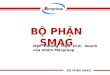 [MARGROUP] GIỚI THIỆU BỘ PHẬN SMAG - Student Marketing Action Group