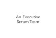 An Executive Scrum Team - IT department