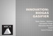 Biz dom mica_biogas gasifier
