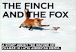 The Finch And The Fox - Mexican version