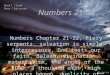 Numbers 21-22, Fiery serpents, salvation is simple, intercessors, God tests our faith, Balaam, divination, materialism, thousand eleph, high places bamah, duplicity of heart