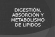 Metabolismo de-lipidos