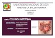 Oclusion intestinal cirugia