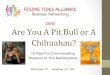 Are You A Pitbull Or A Chihuahua? 10 Tips for commanding RESPECT in the marketplace