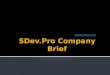 SDev.Pro Company Brief