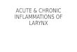 Acute & chronic inflammations of larynx clinical features treatment types otorhinolraryngology ent ppt