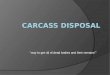 Carcass disposal with comprehensive discussion including all methods
