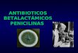 Penicilinas 1