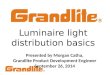 Luminaire Light Distribution Classifications