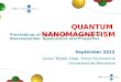 Quantum  Nanomagnetism
