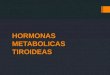 Hormonas metabolicas tiroideas