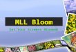 MLL Bloom - Free Wallpapers Download HD