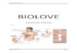 Biolove chapter 1 digestive system