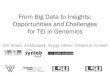 Big Data and Tangibles - TEI 13