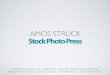 Opportunities for the Stock Photo and Microstock Industry