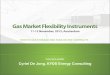 Gas Market Flexibility Instruments fall 2013
