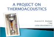Project A Thermoacoustics