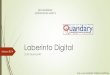 Laberinto Digital-Yañez