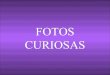 Fotos Curiosas III