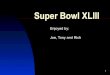 Super  Bowl  XLIII
