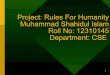 Rules for Humanity - Presentation