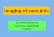Imaging of vasculitis