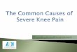 Understanding the Causes of Severe Knee Pain