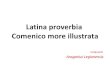 Latina Proverbia Comenico More Illustrata