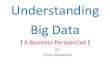 Understanding big data,  a business perspective