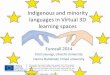 Indigenous and minority languages about the use of virtual worlds