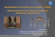 "Botafumeiro and Portico de la Gloria" virtual; Enhancement of the Cultural Heritage by Interactive Applications
