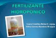 Fertilizante hidropónico