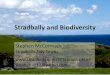Stradbally Tidy Towns and Biodiversity