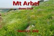 Trip To Mt Arbel 1
