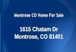 Montrose CO Home For Sale - 1615 Chatam Dr