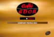Edor Caffe   Company Profile 2012